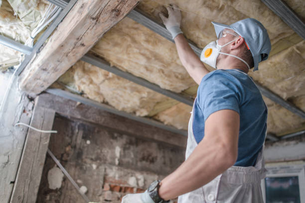 Best Cellulose Insulation in Irondale, GA