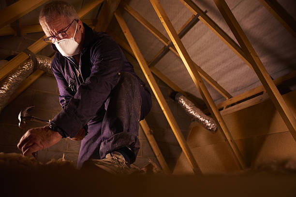 Best Commercial Insulation in Irondale, GA